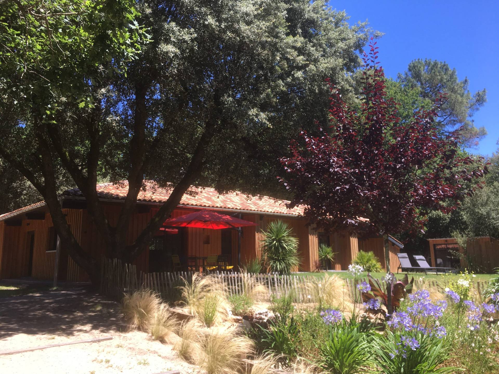 Grand jardin arboré clos – Villa Les Odonates Soulac location vacances